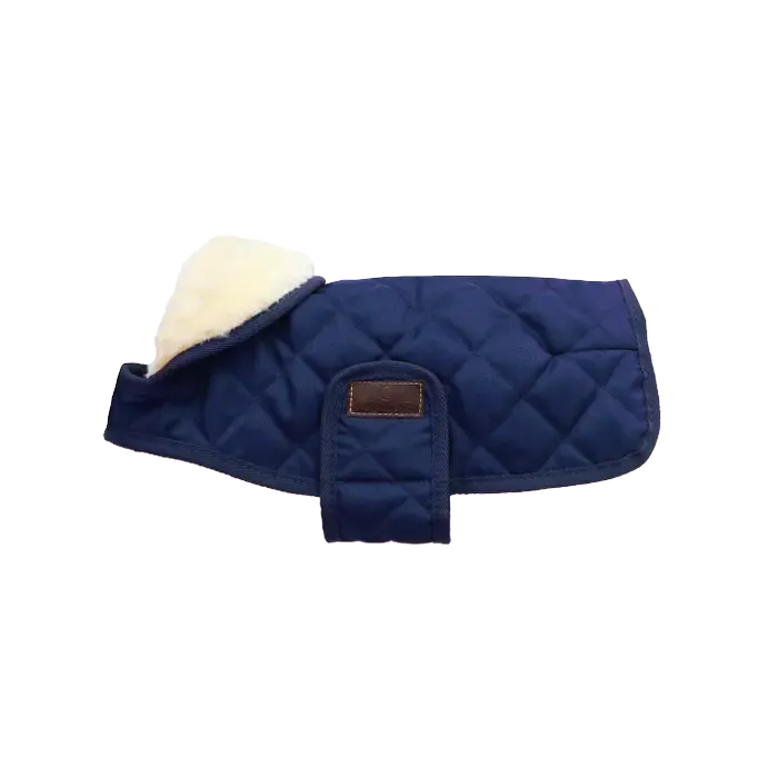 Kentucky Dog Coat Original Navy