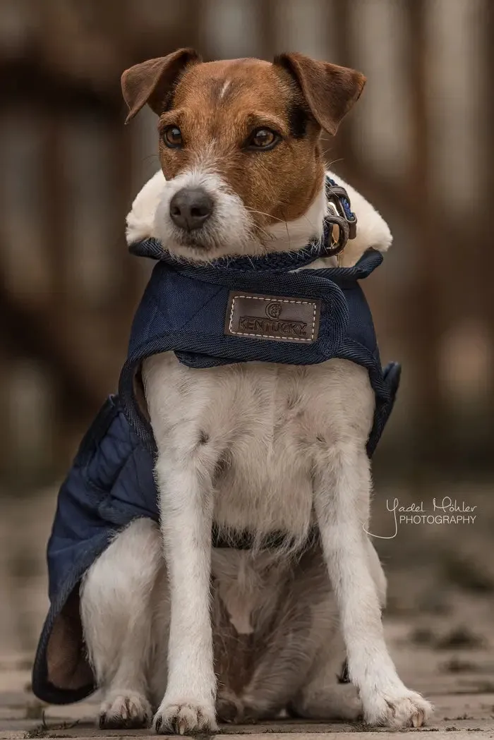 Kentucky Dog Coat Original Navy