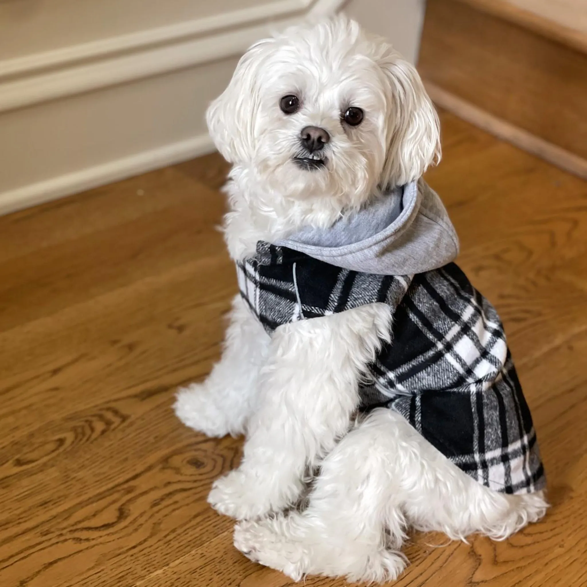 Weekender Dog Sweatshirt Hoodie - Black and White Plaid Flannel