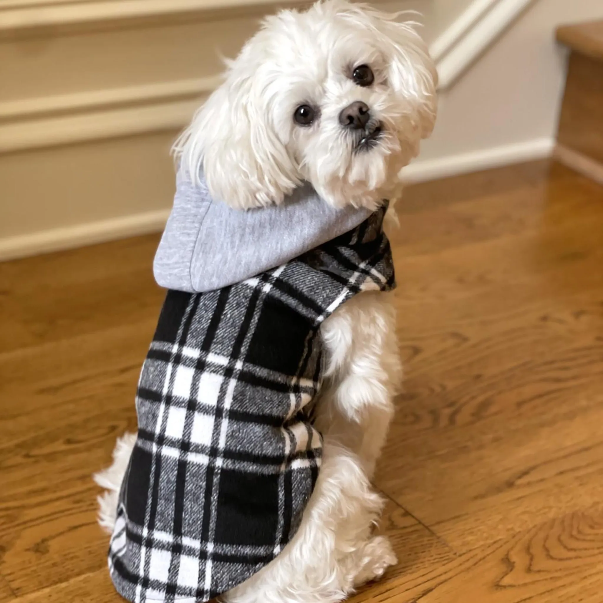 Weekender Dog Sweatshirt Hoodie - Black and White Plaid Flannel